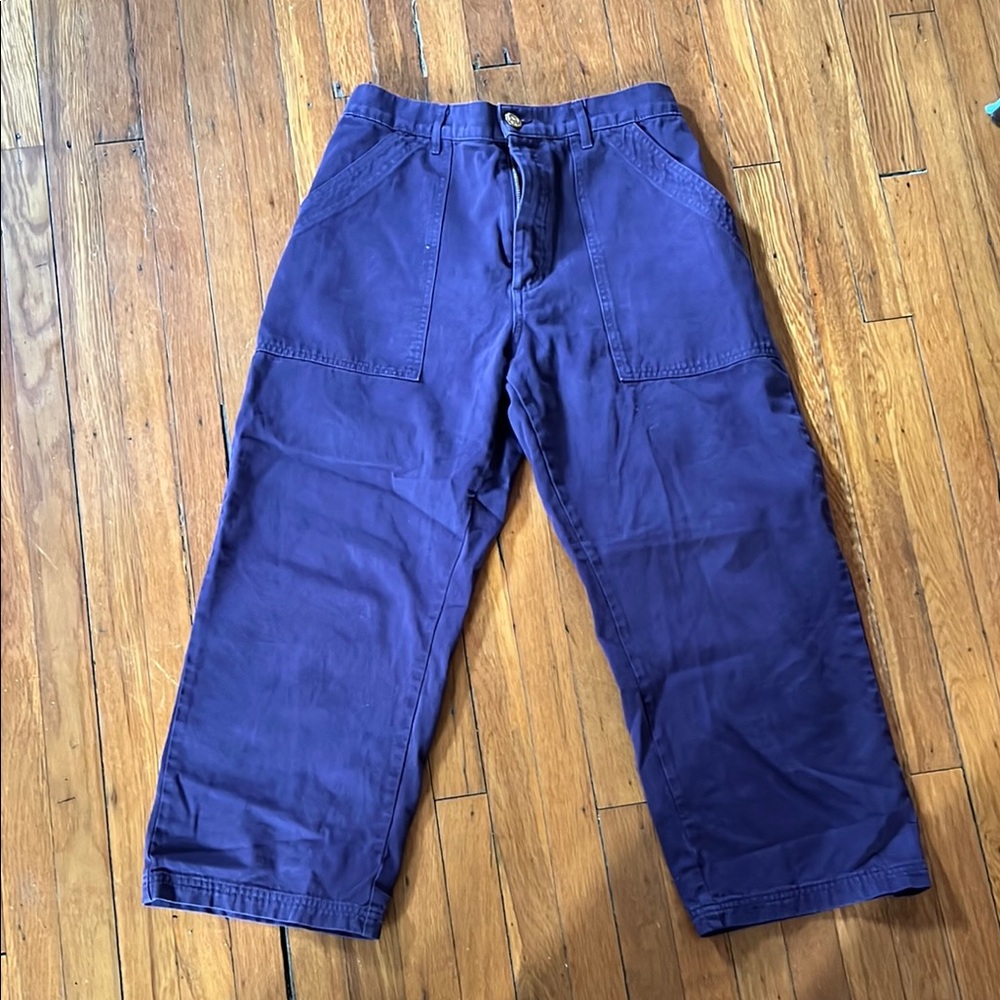 Big Bud Press Purple Cargo Pants Relaxed Fit